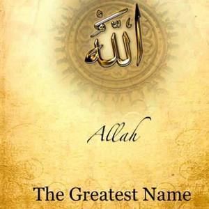 Meet your Posher, Yasser